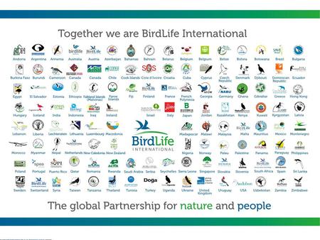 An introduction to climate change vulnerability assessments Stuart Butchart, BirdLife International