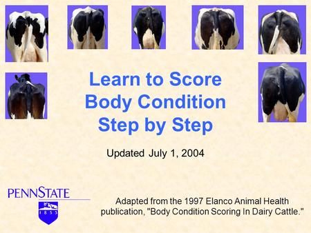 Learn to Score Body Condition Step by Step