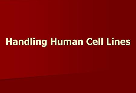 Handling Human Cell Lines