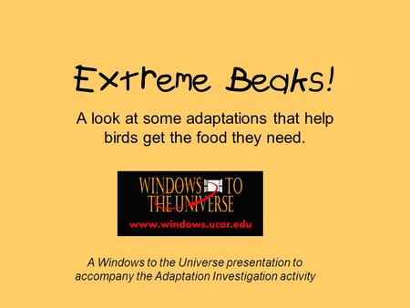 Extreme Beaks! A look at some adaptations that help birds get the food they need. A Windows to the Universe presentation to accompany the Adaptation Investigation.