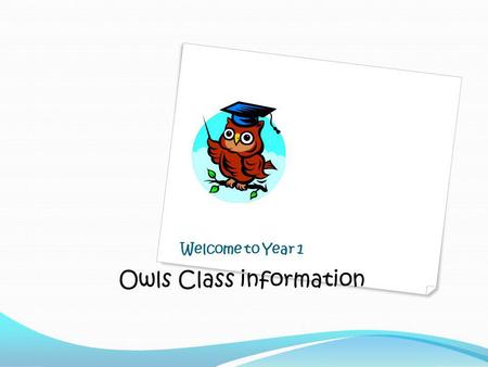 Owls Class information