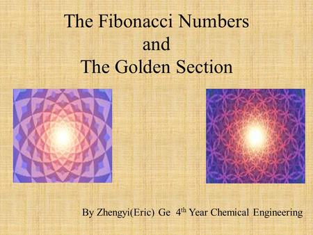 The Fibonacci Numbers and The Golden Section