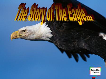 The Story of The Eagle….