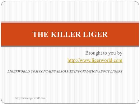 Brought to you by  LIGERWORLD.COM CONTAINS ABSOLUTE INFORMATION ABOUT LIGERS THE KILLER LIGER