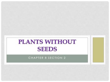 Plants Without Seeds Chapter 8 Section 2.