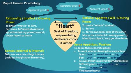 Map of Human Psychology Rational Appetite / Will / Desiring Power To desire what is as Good. 1.for me 2.for its own sake/ sake of the other Moves the intellect.