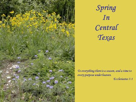 Spring In Central Texas To everything there is a season, and a time to every purpose under heaven. Ecclesiastes 3:1.