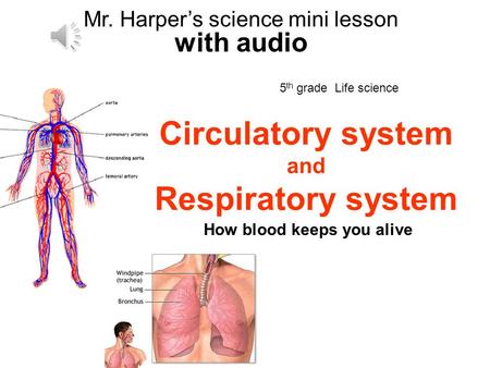 Circulatory system and Respiratory system