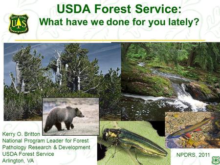 USDA Forest Service: What have we done for you lately? Kerry O. Britton National Program Leader for Forest Pathology Research & Development USDA Forest.