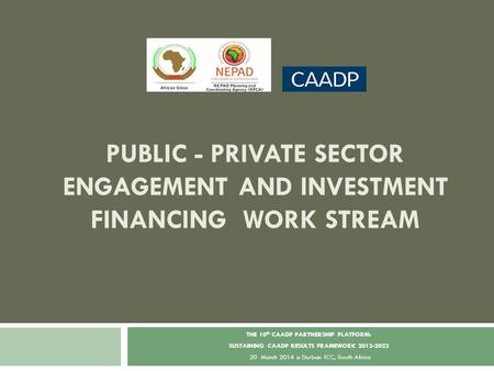 PUBLIC - PRIVATE SECTOR ENGAGEMENT AND INVESTMENT FINANCING WORK STREAM THE 10 th CAADP PARTNERSHIP PLATFORM: SUSTAINING CAADP RESULTS FRAMEWORK 2013-2023.