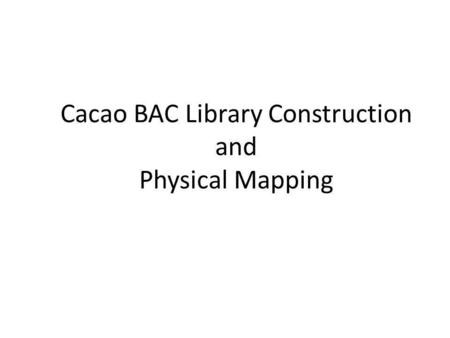Cacao BAC Library Construction and Physical Mapping.