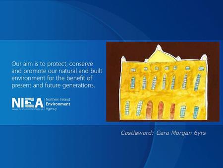 Castleward: Cara Morgan 6yrs. The Listed Building owners forum Keeping the weather out Dermot Mac Randal.