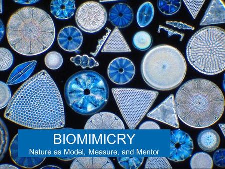 BIOMIMICRY Nature as Model, Measure, and Mentor. BI-O-MIM-IC-RY (From the Greek bios, life, and mimesis, imitation) Nature as model. Biomimicry is a new.