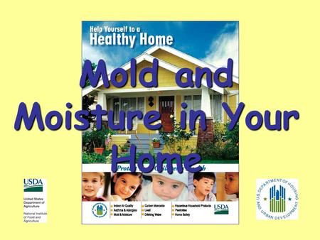 Mold and Moisture in Your Home. Should You Be Concerned? Mold growth is an indication of excess moisture Molds can affect your health Excess moisture.