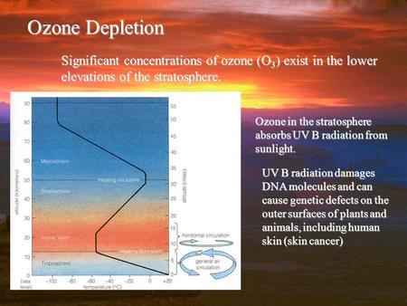 Ozone Depletion Significant concentrations of ozone (O 3 ) exist in the lower elevations of the stratosphere. Ozone in the stratosphere absorbs UV B radiation.