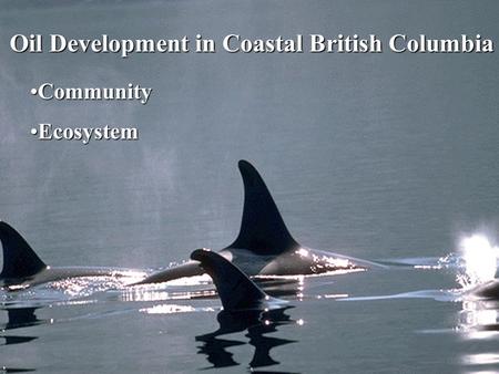 Oil Development in Coastal British Columbia CommunityCommunity EcosystemEcosystem.