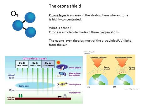 The ozone shield Ozone layer is an area in the stratosphere where ozone is highly concentrated. What is ozone? Ozone is a molecule made of three oxygen.