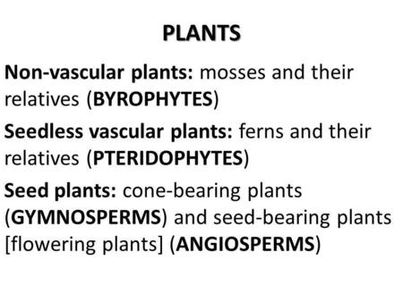 PLANTS Non-vascular plants: mosses and their relatives (BYROPHYTES) Seedless vascular plants: ferns and their relatives (PTERIDOPHYTES) Seed plants: cone-bearing.