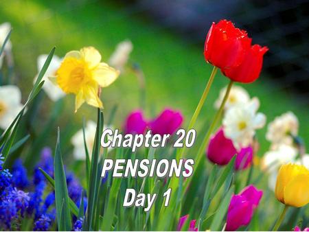 Chapter 20 PENSIONS Day 1.