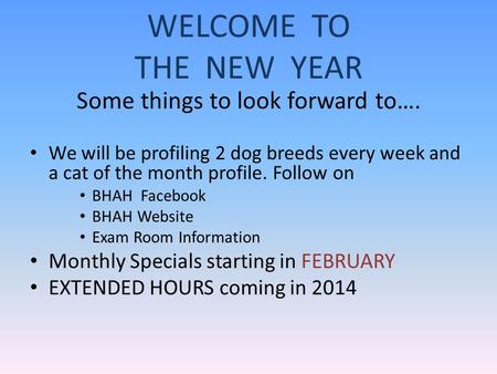 WELCOME TO THE NEW YEAR Some things to look forward to…. We will be profiling 2 dog breeds every week and a cat of the month profile. Follow on BHAH Facebook.