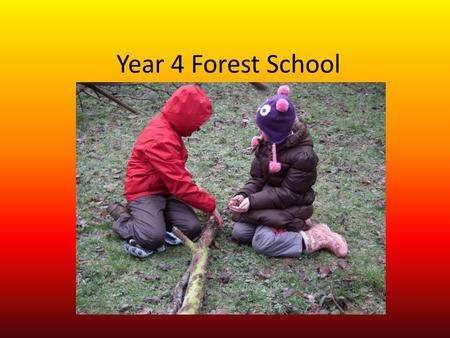 Year 4 Forest School. First of all we had to make a comfortable seating area. Then we collected dry sticks to make the fire.