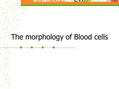 The morphology of Blood cells