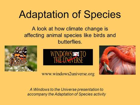 Adaptation of Species A look at how climate change is affecting animal species like birds and butterflies. A Windows to the Universe presentation to accompany.