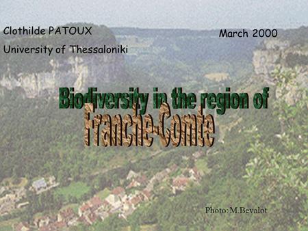 Clothilde PATOUX University of Thessaloniki March 2000 Photo: M.Bevalot.