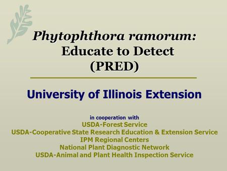 Phytophthora ramorum: Educate to Detect (PRED) University of Illinois Extension in cooperation with USDA-Forest Service USDA-Cooperative State Research.