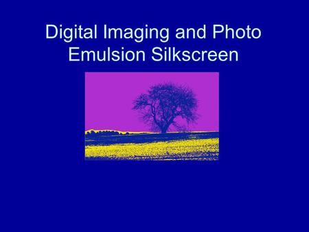 Digital Imaging and Photo Emulsion Silkscreen