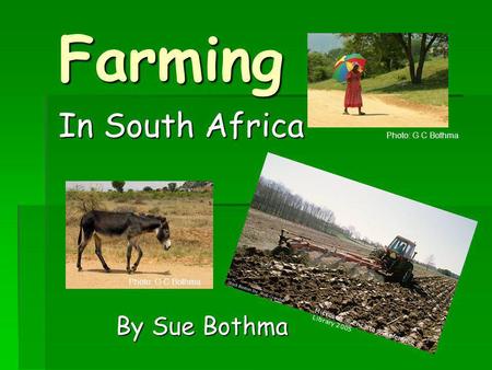 Farming In South Africa By Sue Bothma Photo: G C Bothma