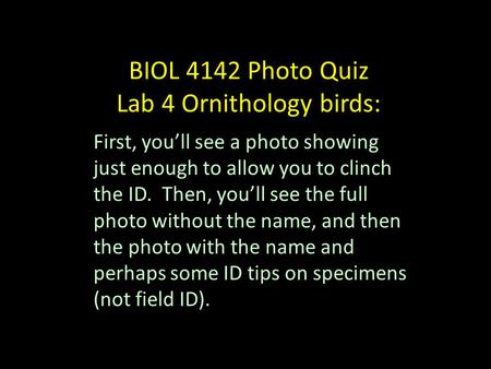BIOL 4142 Photo Quiz Lab 4 Ornithology birds: First, youll see a photo showing just enough to allow you to clinch the ID. Then, youll see the full photo.
