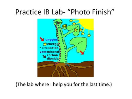 Practice IB Lab- “Photo Finish”