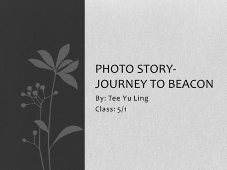 By: Tee Yu Ling Class: 5/1 PHOTO STORY- JOURNEY TO BEACON.