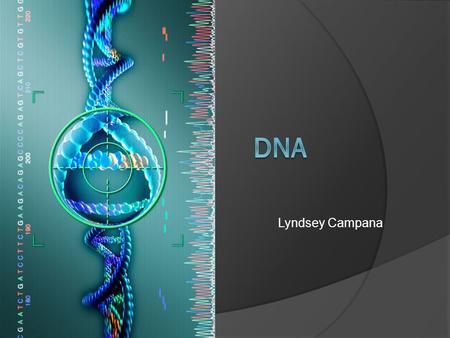 DNA Lyndsey Campana.
