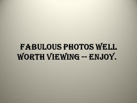 Fabulous photos well worth viewing -- enjoy.. Anheuser-Busch is on the phone and they want to talk to you...