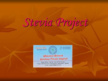 Stevia Project.