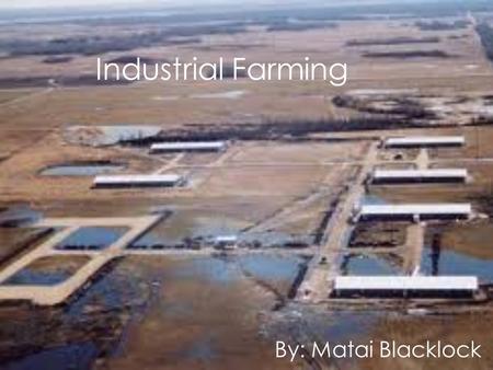 Industrial Farming By: Matai Blacklock.