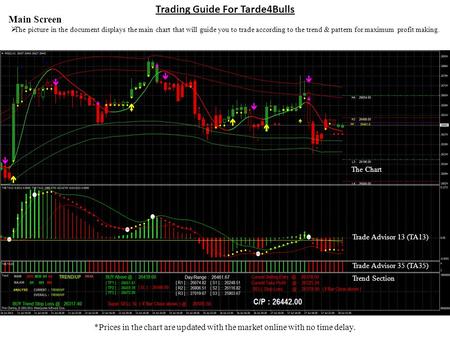 Trading Guide For Tarde4Bulls Main Screen The picture in the document displays the main chart that will guide you to trade according to the trend & pattern.