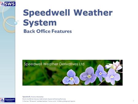 Speedwell Weather System Back Office Features 1 Speedwell, Veronica Chamaedrys Known since Roman times as a medicinal herb. A perennial flowering March-July.