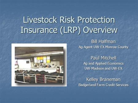 Livestock Risk Protection Insurance (LRP) Overview Bill Halfman Ag Agent UW-EX Monroe County Paul Mitchell Ag and Applied Economics UW-Madison and UW-EX.