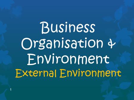 1 Business Organisation & Environment External Environment.