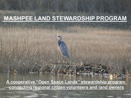 MASHPEE LAND STEWARDSHIP PROGRAM A cooperative Open Space Lands stewardship program connecting regional citizen volunteers and land owners.