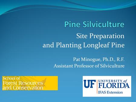 Pine Silviculture Site Preparation and Planting Longleaf Pine