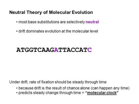 Neutral Theory of Molecular Evolution most base substitutions are selectively neutral drift dominates evolution at the molecular level Under drift, rate.