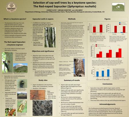 What is a keystone species? Selection of sap well trees by a keystone species: The Red-naped Sapsucker (Sphyrapicus nuchalis) CHRIS FLOYD 1,2, MEGAN KOESTER.