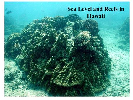 Sea Level and Reefs in Hawaii. Reefs 30 0 N and 30 0 S, shallow sunlight seas.