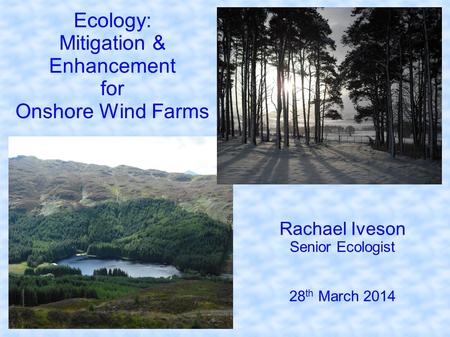 Ecology: Mitigation & Enhancement for Onshore Wind Farms