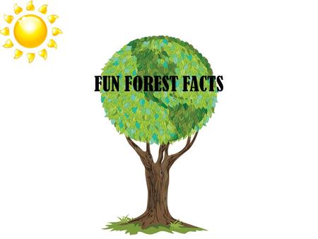 FUN FOREST FACTS. Directions Go through the next few slides to find out information on our 3 types of forests. After you go to a website, come back to.