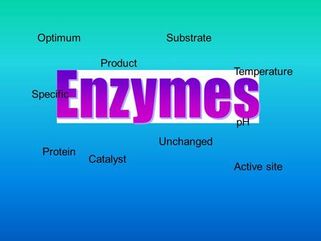 Enzymes Optimum Substrate Product Temperature Specific pH Unchanged